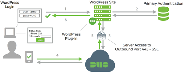 wordpress_network_diagram-600